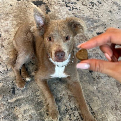 Hip & Joint Chews (90 Chews)