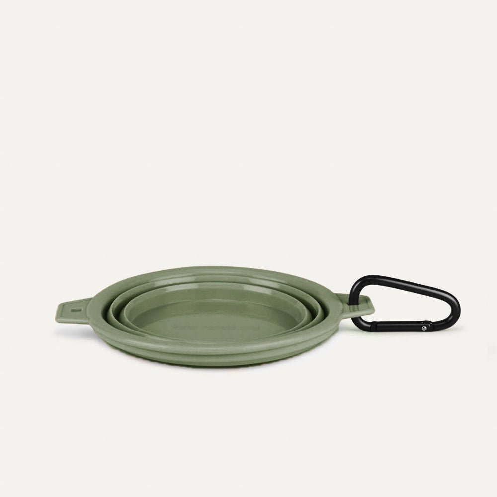 Collapsible Pet Bowl with Clip – Compact, Reusable and Easy to Clean